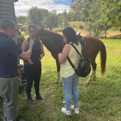 Grupo recibiendo instrucciones junto al caballo antes de la actividad
