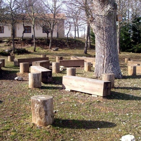 Bancos y troncos de madera para sentarse junto a los árboles de la zona exterior del albergue