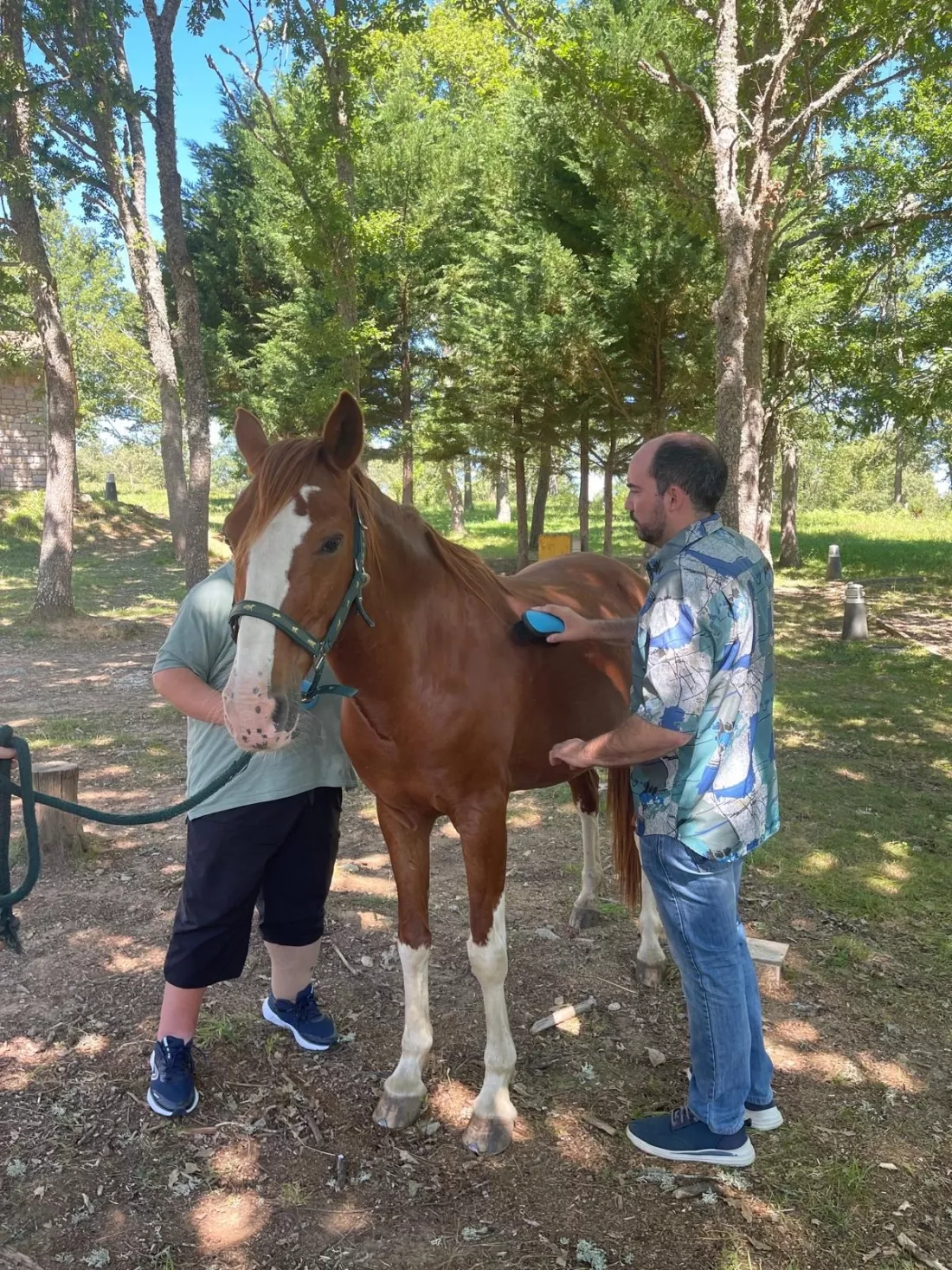 Participantes cepillando un caballo en un espacio exterior vallado.