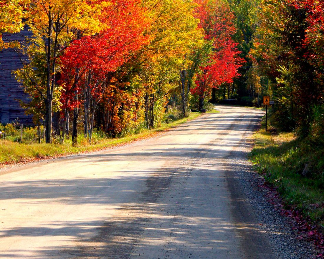 Pista forestal en bosque otoñal en el Entorno Las Merindades, Burgos