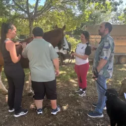Varias personas interactúan con un caballo en un entorno natural.