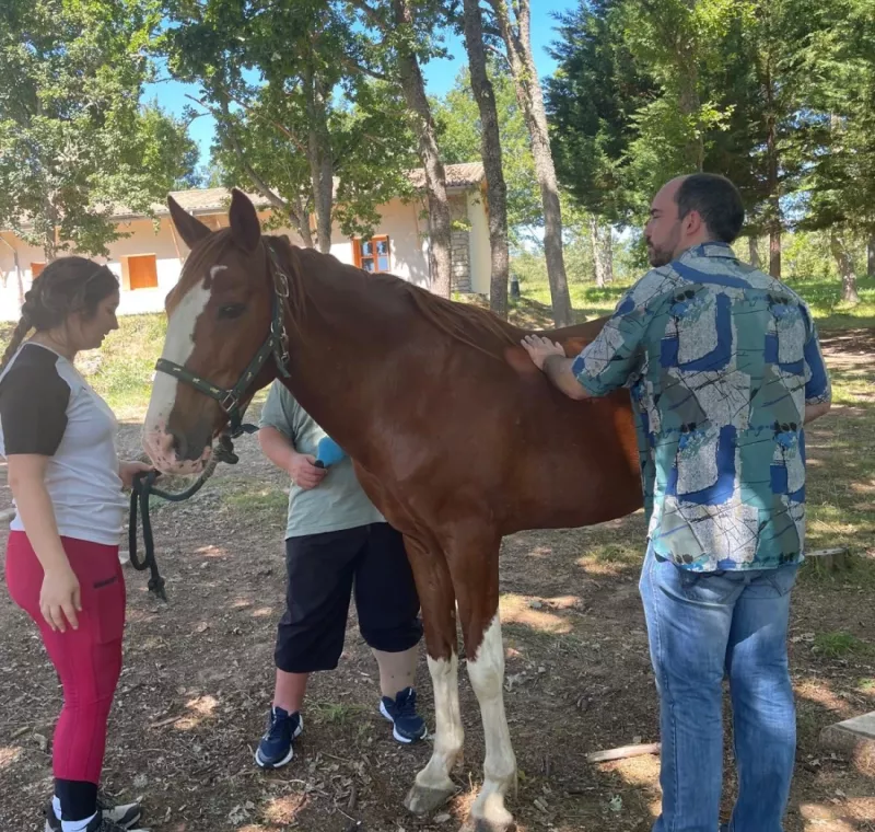 Personas explorando el entorno natural mientras interactúan con un caballo