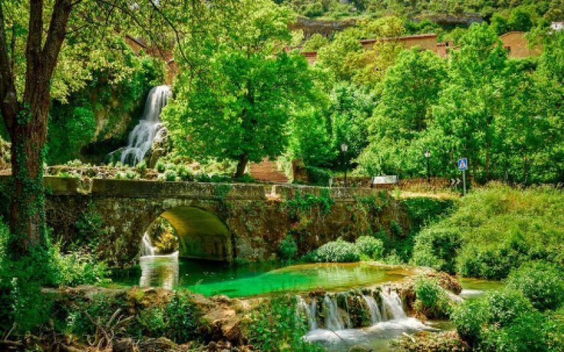 Entorno Las Merindades con árboles y bosque