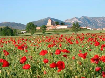 Entorno Las Merindades Burgos