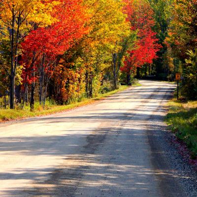 Pista forestal en bosque otoñal en el Entorno Las Merindades, Burgos