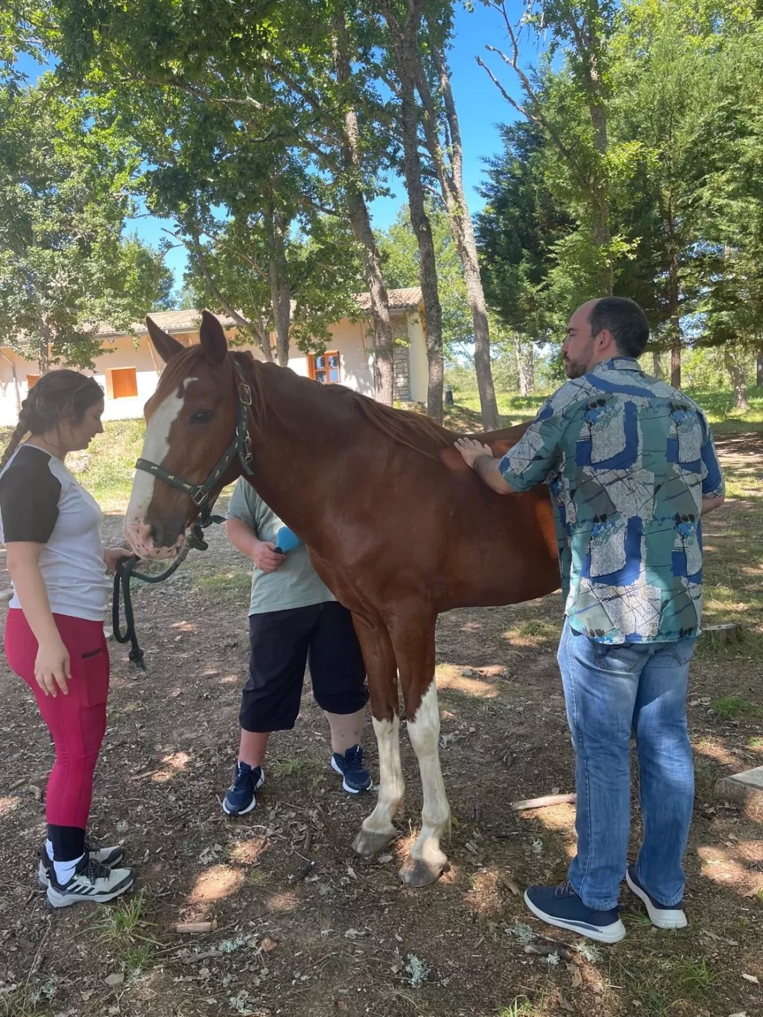 Participantes interactuando con un caballo en un entorno natural