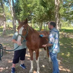 Actividad al aire libre con caballo guiada por monitores