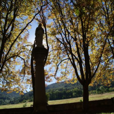 Escultura en un bosque en el entorno Las Merindades, Burgos