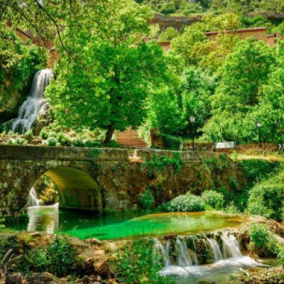 Entorno Las Merindades con árboles y bosque