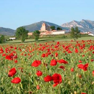 Vista de pueblo con campo de amapolas en el entorno Las Merindades, Burgos