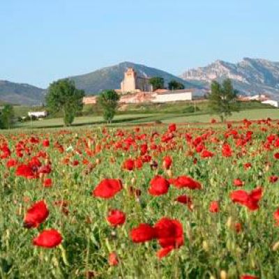 Vista de pueblo con campo de amapolas en el entorno Las Merindades, Burgos