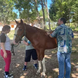 Personas explorando el entorno natural mientras interactúan con un caballo