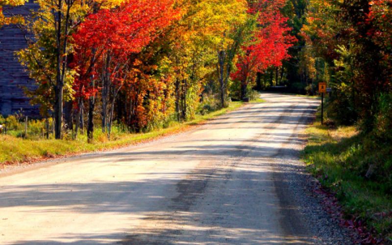 Pista forestal en bosque otoñal en el Entorno Las Merindades, Burgos