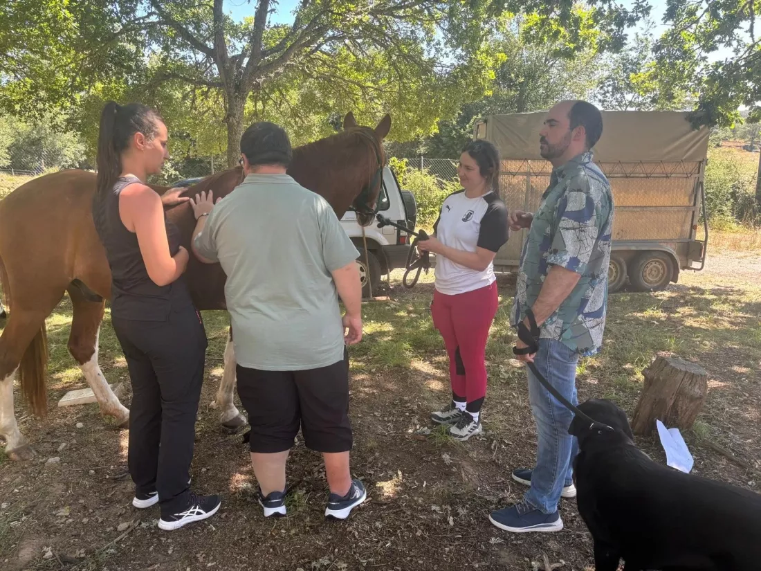 Varias personas interactúan con un caballo en un entorno natural.