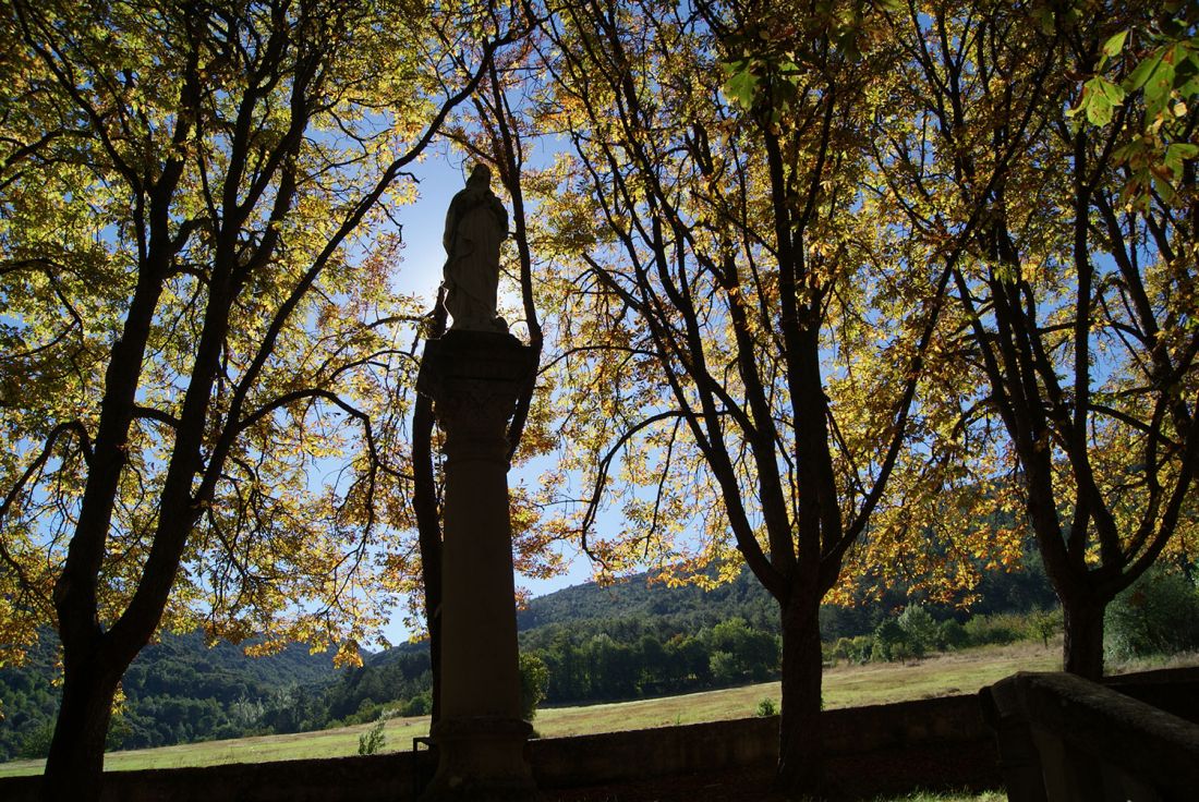 Escultura en un bosque en el entorno Las Merindades, Burgos